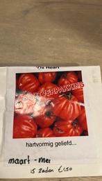 Ox heart tomaat zaden, Ophalen of Verzenden, Volle zon