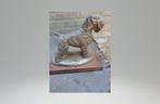 Te koop castle-brons beeld van een Russisch Terrier, Ophalen of Verzenden, Zo goed als nieuw, Dier