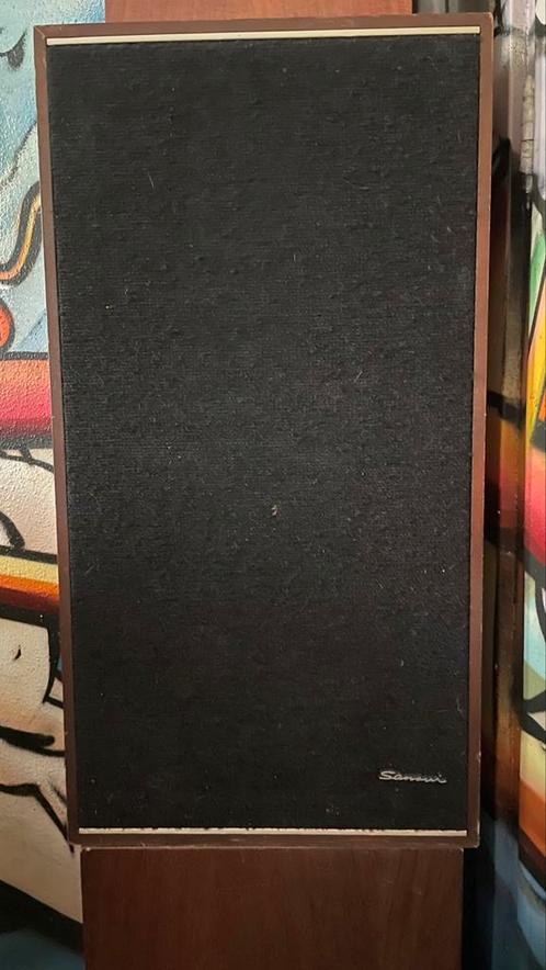 Sansui ES-200, Audio, Tv en Foto, Luidsprekers, Gebruikt, Front, Rear of Stereo speakers, Minder dan 60 watt, Overige merken, Ophalen