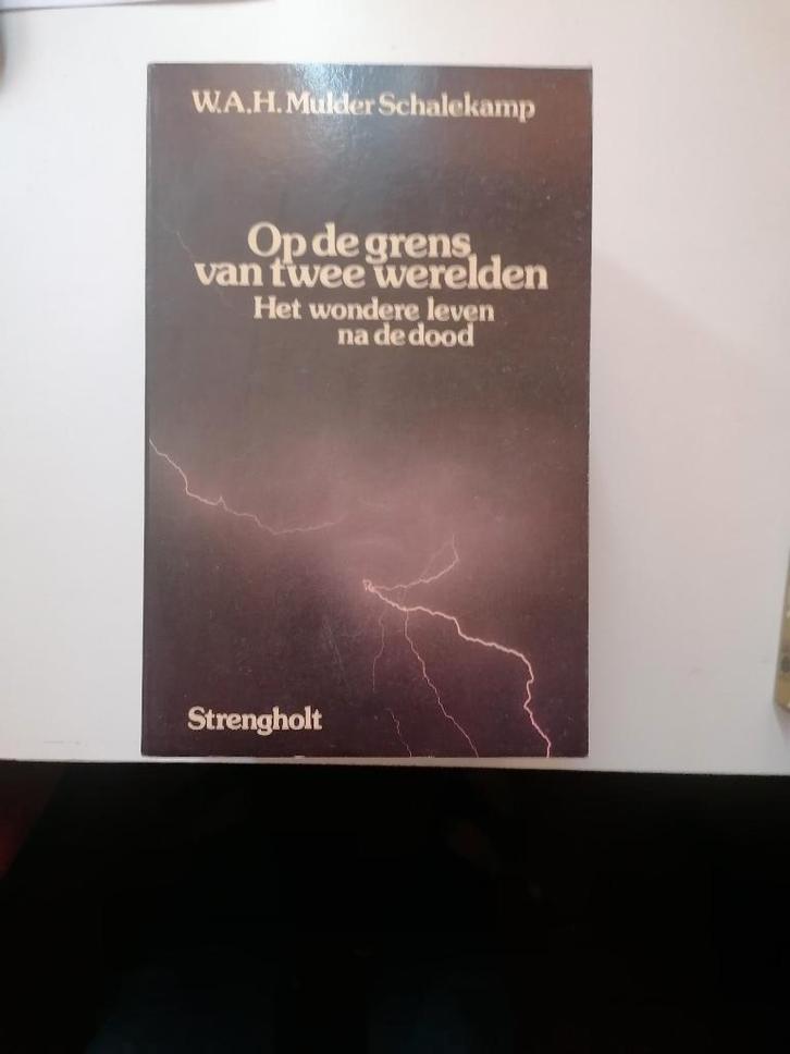 W.A.H. Mulder-Schalekamp leven na de dood en reïncarnatie. , Boeken, Overige Boeken, Zo goed als nieuw, Ophalen of Verzenden