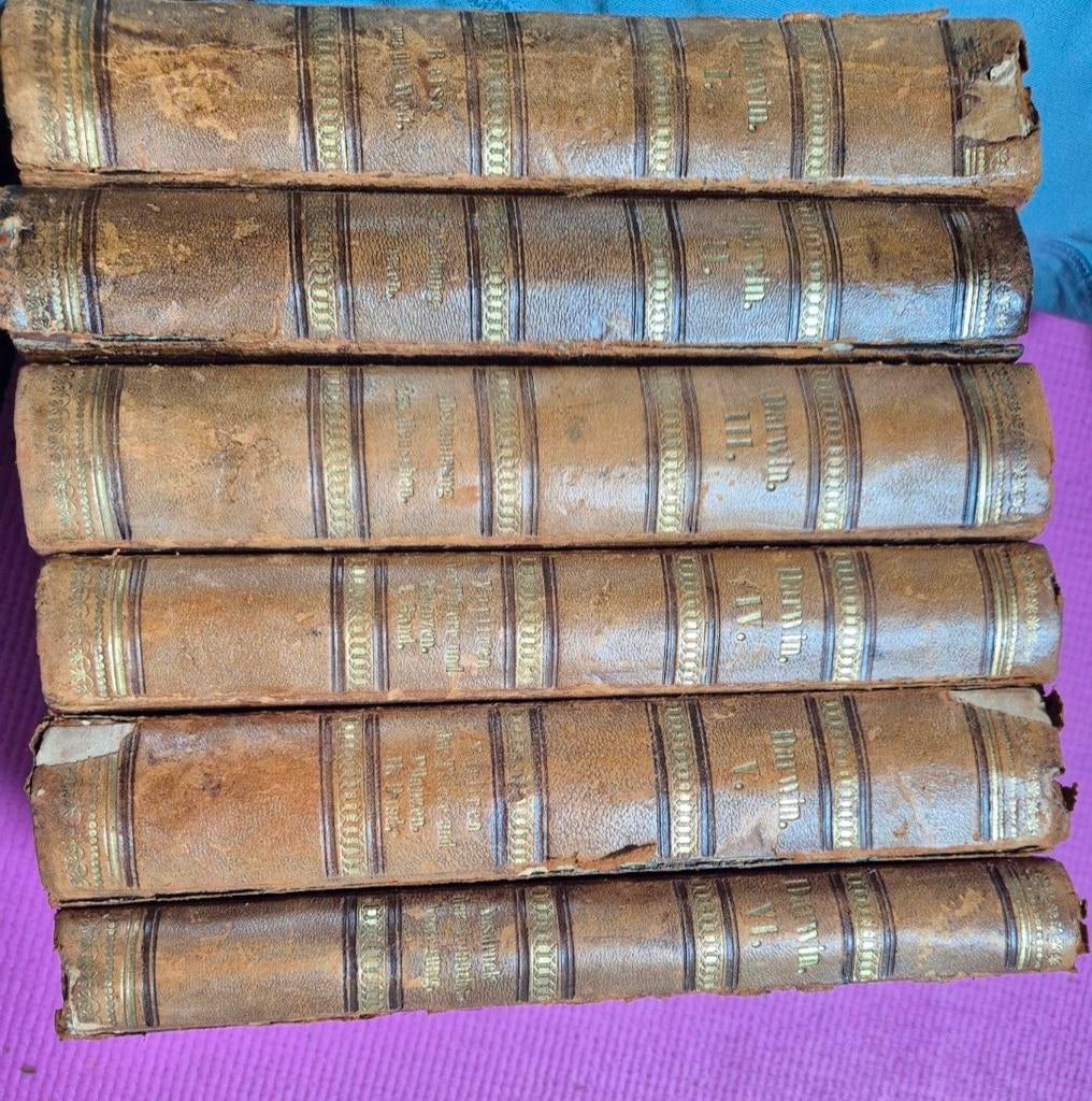 Charles Darwin - Complete Set + Extra Deel, Antiek en Kunst, Antiek | Boeken en Bijbels, Ophalen of Verzenden, Charles Darwin, T.C. Winkler