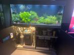 Aquarium oase 300 highline compleet, Dieren en Toebehoren, Vissen | Aquaria en Toebehoren, Ophalen, Zo goed als nieuw