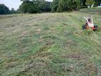 Te koop, Dieren en Toebehoren, Stalling en Weidegang, 4 paarden of pony's of meer