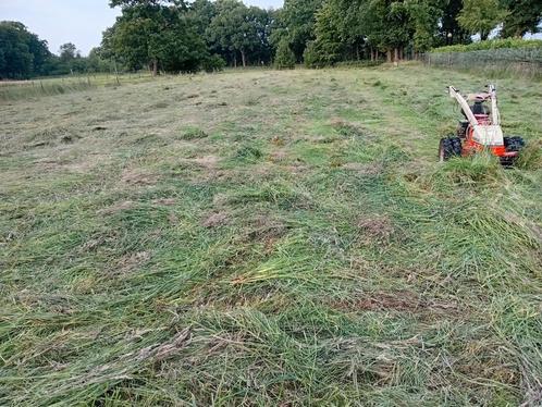 Te koop, Dieren en Toebehoren, Stalling en Weidegang, 4 paarden of pony's of meer