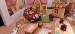 Collectie Sylvanian Families, Ophalen of Verzenden, Zo goed als nieuw, Poppenhuis