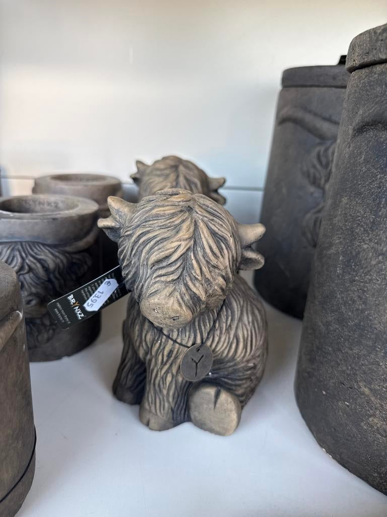 Schattig Schots Hooglander Beeld - Nieuw, Ophalen of Verzenden, Nieuw