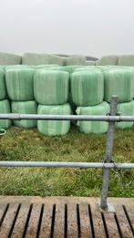 Structuur rijke midi hooi balen geschikt voor o.a. paarden, Dieren en Toebehoren, Dierenvoeding, Verzenden, Vee
