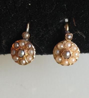 Antieke 14 K gouden oorbellen oorhangers gezet met zaadpare  beschikbaar voor biedingen