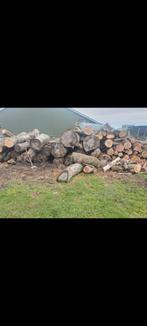 circa 30 kuub stamhout, 6 m³ of meer, Ophalen of Verzenden, Beukenhout, Stammen