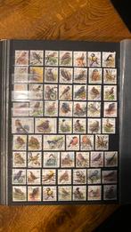 Postzegels belgie vogels, Ophalen of Verzenden, Buitenland