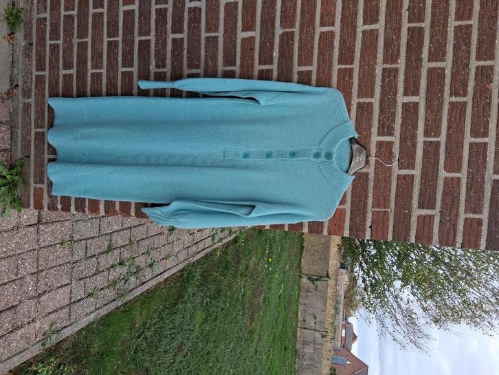 Dames winter kleed Xandres Mt XS, Kleding | Dames, Jurken, Nieuw, Maat 34 (XS) of kleiner, Groen, Onder de knie, Ophalen of Verzenden