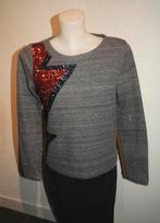 Essentiel Antwerp Trui maat S/M met Glitters, Ophalen of Verzenden, Zo goed als nieuw, Maat 38/40 (M), Grijs