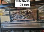 Verschillende terrariums, Dieren en Toebehoren, Ophalen, Zo goed als nieuw, Terrarium of Paludarium