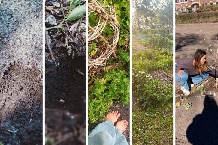 Gezocht: Stuk grond voor project natuurherstel omg. Den Haag, Tuin en Terras, Overige Tuin en Terras, Gebruikt, Ophalen of Verzenden
