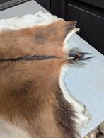 Geitenvel - Decoratief, Gebruikt, 50 tot 100 cm, Rustiek, Bruin