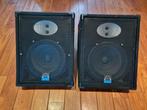 Passieve monitor Wharfedale Pro VS-12M, Muziek en Instrumenten, Versterkers | Keyboard, Monitor en PA, Ophalen, Zo goed als nieuw