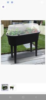 Kweekkast zgan, Tuin en Terras, Kweekspullen, Ophalen, Zo goed als nieuw, Kweekbak