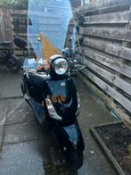 Sym Fiddle 2 2022, Ophalen, Gebruikt, Benzine, Fiddle