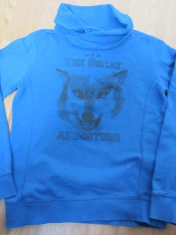 Trui Hema / WE / Vingino maat 158-164 beschikbaar voor biedingen