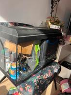 Zeer compleet 60L aquarium,  incl co2 installatie en meer, Ophalen, Gebruikt, Leeg aquarium