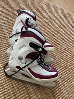 Dames schaatsen - Maat 39 Crivit, Sport en Fitness, Schaatsen, Ophalen of Verzenden, Zo goed als nieuw, IJshockeyschaatsen, Overige merken