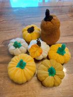 pompoenen klein, middel,groot, Ophalen of Verzenden, Nieuw