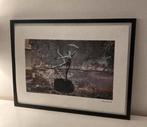 BANKSY Oekraine lithografie in 50 exemplaren met certificaat, Antiek en Kunst, Kunst | Litho's en Zeefdrukken, Ophalen of Verzenden