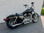 Harley Davidson Sportster 883 custom XLH 883, Motoren, 2 cilinders, Chopper, 883 cc, Particulier