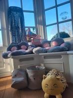 Alle accesoires voor een poezenkamer!, Ophalen of Verzenden