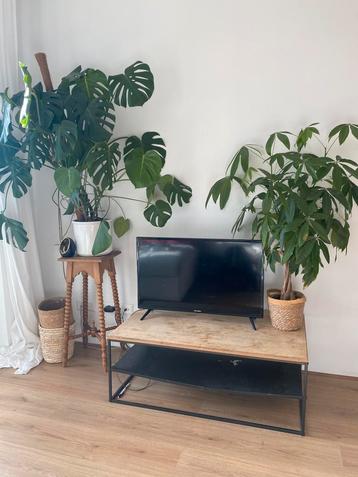Salora HD LED TV 32inch beschikbaar voor biedingen