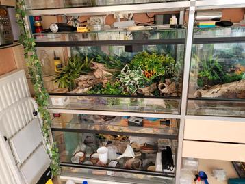 Terrarium's 90 x 50 x 50 beschikbaar voor biedingen