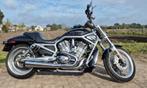 Harley davidson  VRSCAW V-Rod 240 option, Motoren, Motoren | Harley-Davidson, 2 cilinders, Meer dan 35 kW, 1246 cc, Particulier