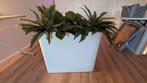 Witte plantenbak met kunstplanten, Huis en Inrichting, Woonaccessoires | Zuilen en Pilaren, Ophalen, Zo goed als nieuw