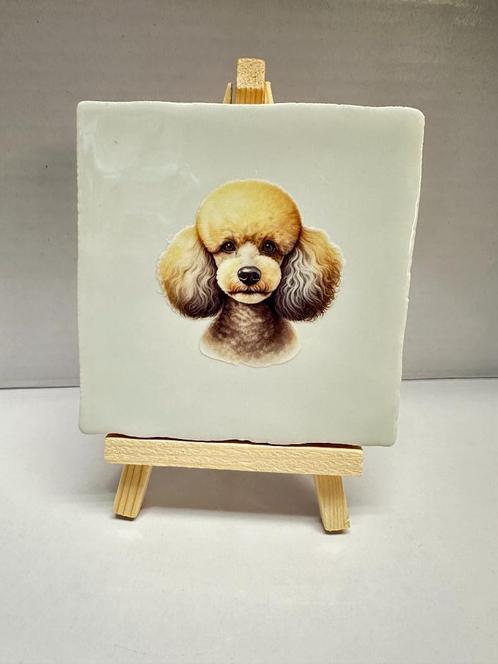 Tegeltje Poedel 10x10cm - Inclusief standaard, Dieren en Toebehoren, Honden-accessoires, Nieuw, Ophalen of Verzenden
