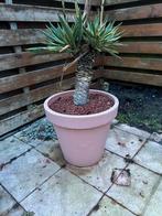 Grote kunstof terras tuin pot zonder plant, Tuin en Terras, Bloembakken en Plantenbakken, Ophalen, Kunststof, Rond, Zo goed als nieuw