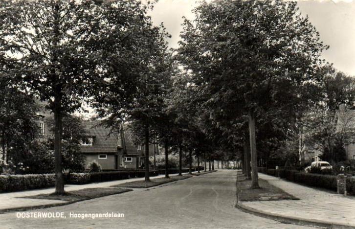 Oosterwolde, Hoogengaardelaan - gelopen, Verzamelen, Ansichtkaarten | Nederland, Gelopen, Friesland, 1960 tot 1980, Ophalen of Verzenden
