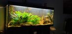 Juwel Rio500, Ophalen, Gebruikt, Leeg aquarium