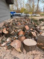 Vers gezaagd haardhout te koop, Minder dan 3 m³, Ophalen of Verzenden