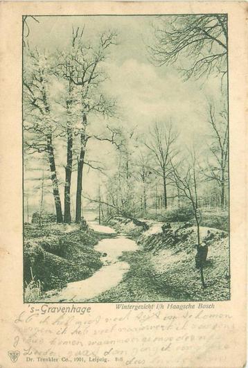 (388-267-051) Den Haag Wintergezicht ih Haagsche Bosch beschikbaar voor biedingen