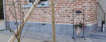Gevelplint in blauwe hardsteen, 15 tot 60cm hoog beschikbaar voor biedingen