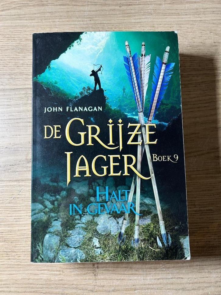 De Grijze Jager Boek 9 Halt in Gevaar, Boeken, Fantasy, Zo goed als nieuw, Ophalen of Verzenden