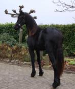 Mooie Fries jaarling merrie met vol papier, Dieren en Toebehoren, Merrie, Minder dan 160 cm, Gechipt, Niet van toepassing