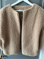 Gilet bodywarmer teddy one size, zgan, Kleding | Dames, Ophalen, Zo goed als nieuw, Maat 38/40 (M), Beige