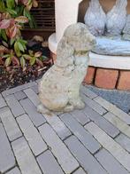 Prachtig beeld van hond in beton., Ophalen, Beton