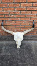 Skull buffelschedel met lange hoorns - Decoratief, Verzamelen, Dierenverzamelingen, Ophalen, Zo goed als nieuw, Schedel