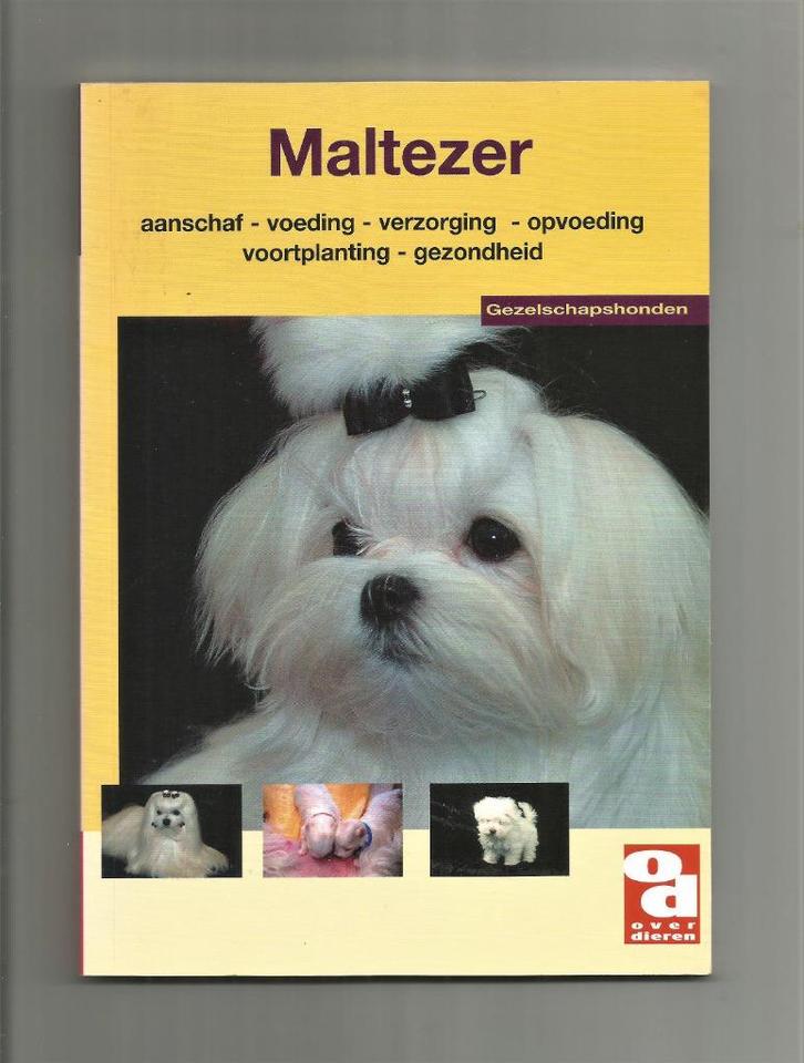 Maltezer - Anneke Tasseron e.a., Boeken, Dieren en Huisdieren, Nieuw, Honden, Ophalen of Verzenden