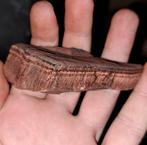 Prachtige ruwe Haviksoog met bronzen Flash edelsteen, Verzamelen, Mineralen en Fossielen, Ophalen of Verzenden