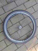 Wielen Shimano campagnolo 28 inch, Ophalen, Gebruikt, Racefiets, Wiel