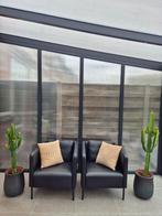 CACTUS EUPHORBIA COWBOY CACTUS, Huis en Inrichting, Ophalen, Cactus, Volle zon, Minder dan 100 cm