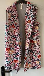 Schort, Carnaval, Maat 46/48 (XL) of groter, Ophalen of Verzenden, Zo goed als nieuw